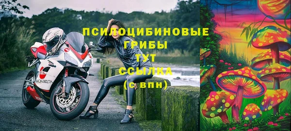 метадон Магас