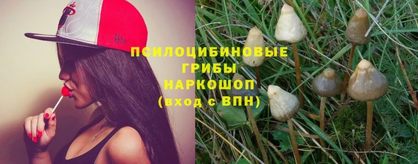 прущие крисы Медвежьегорск