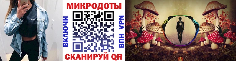 Псилоцибиновые грибы прущие грибы  Купить  Ладушкин 